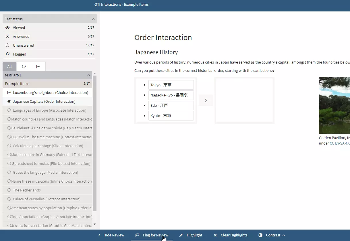 Flagging an Item for Review
